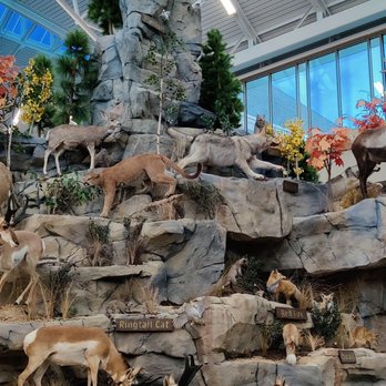 Scheels - Hunting & Fishing Supplies Near Me - Johnstown, Colorado