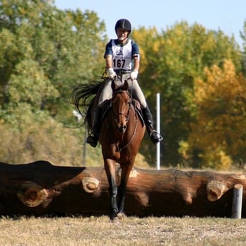 VetweRx Equine North - Veterinarians Near Me - Longmont, Colorado VetweRx Equine North - Veterinarians Near Me - Longmont, Colorado