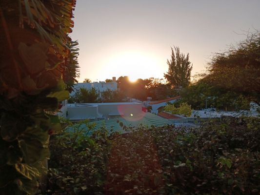 DREAMCATCHER by DW - Adults Only by null