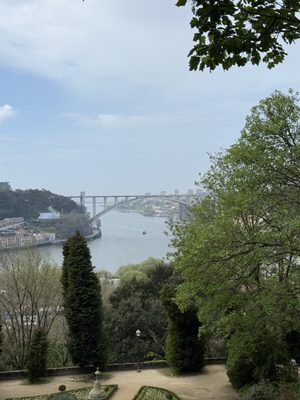 Jardins do Palácio de Cristal by null