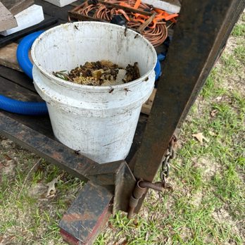 B's Bees - The honey removed from the hive. - Honey Near Me - Loxley, Alabama B's Bees - The honey removed from the hive. - Honey Near Me - Loxley, Alabama