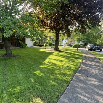 T.C. Lawncare Plus -  a tree and a sidewalk - Lawn Services Near Me