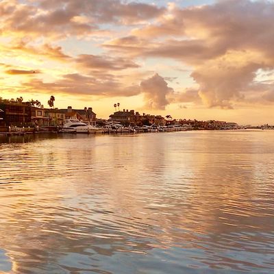 Prince Charters, LLC by null