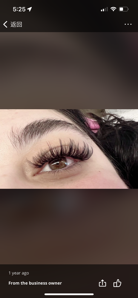 LV lashes Logo