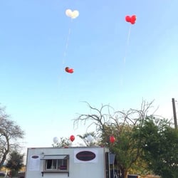 That Taco Stand