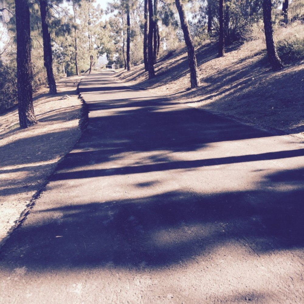 Hillside Recreation Center - Feels like I'm waking somewhere else. Very peaceful walking trail. - Community Centers Near Me - El Cajon, California