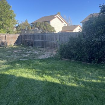 Diamond Tree Company - Clean and cut! - Tree Services Near Me - Fort Collins, Colorado Diamond Tree Company - Clean and cut! - Tree Services Near Me - Fort Collins, Colorado