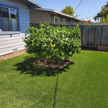 JDH Garden Services - After - Gardeners Near Me JDH Garden Services - After - Gardeners Near Me