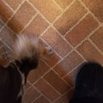 PetSmart - Hair left on front leg - Pet Training Near Me - Omaha, Nebraska PetSmart - Hair left on front leg - Pet Training Near Me - Omaha, Nebraska