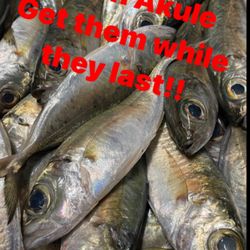 Lawai'a Fish Co. - Whole fish when available