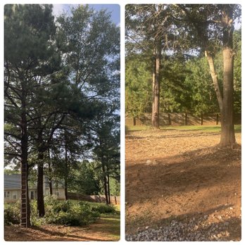 TRACS Tree And Lawn Services - A good before and after photo of a very satisfied customers yard. Call or message us today! - Tree Services Near Me TRACS Tree And Lawn Services - A good before and after photo of a very satisfied customers yard. Call or message us today! - Tree Services Near Me
