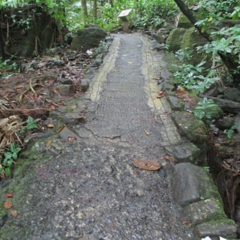 El Yunque Rainforest - Hiking Near Me - Luquillo, Puerto Rico