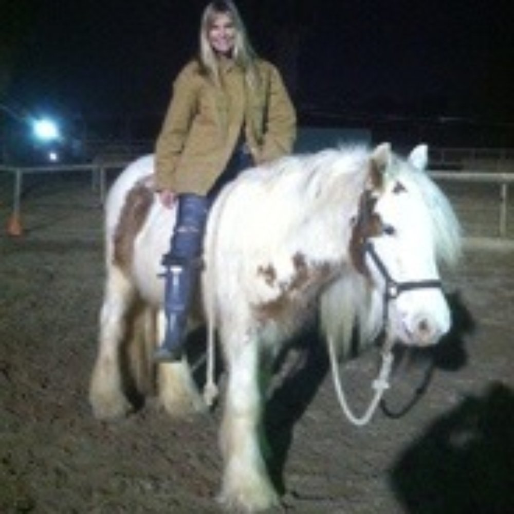 LexLin Ranch - Horseback Riding Near Me - Rockwood, Tennessee LexLin Ranch - Horseback Riding Near Me - Rockwood, Tennessee