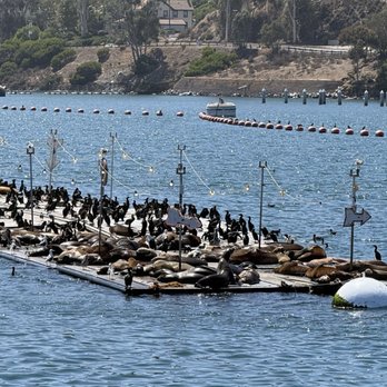 Flagship Cruises & Events - Boat Charters Near Me - San Diego, California