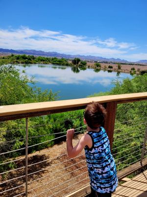 Henderson Bird Viewing Preserve by null