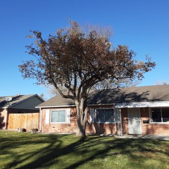 Mr Squid's Maintenance Solutions - Gutter Services Near Me - Colorado Springs, Colorado Mr Squid's Maintenance Solutions - Gutter Services Near Me - Colorado Springs, Colorado
