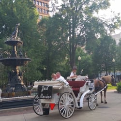 Carriage Tours of Memphis - Gorgeous pic by the Fountain.