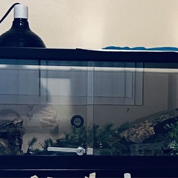 San Diego Reptile - Custom 20 gallon tank. - Reptile Shops Near Me - Imperial Beach, California San Diego Reptile - Custom 20 gallon tank. - Reptile Shops Near Me - Imperial Beach, California