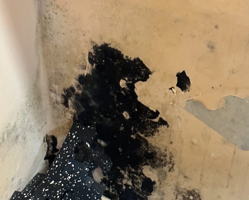 Slide of Wolfe Roofing Company