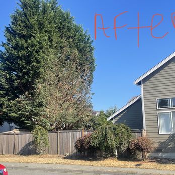 Adalid Treewalker Services - Leyland cypress - Tree Services Near Me Adalid Treewalker Services - Leyland cypress - Tree Services Near Me