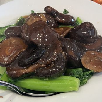 New Sam Kee Restaurant - Mushroom and gailan veggies - Chinese Near Me - San Jose, California New Sam Kee Restaurant - Mushroom and gailan veggies - Chinese Near Me - San Jose, California