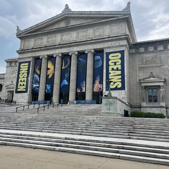 Field Museum - Museums Near Me - Chicago, Illinois
