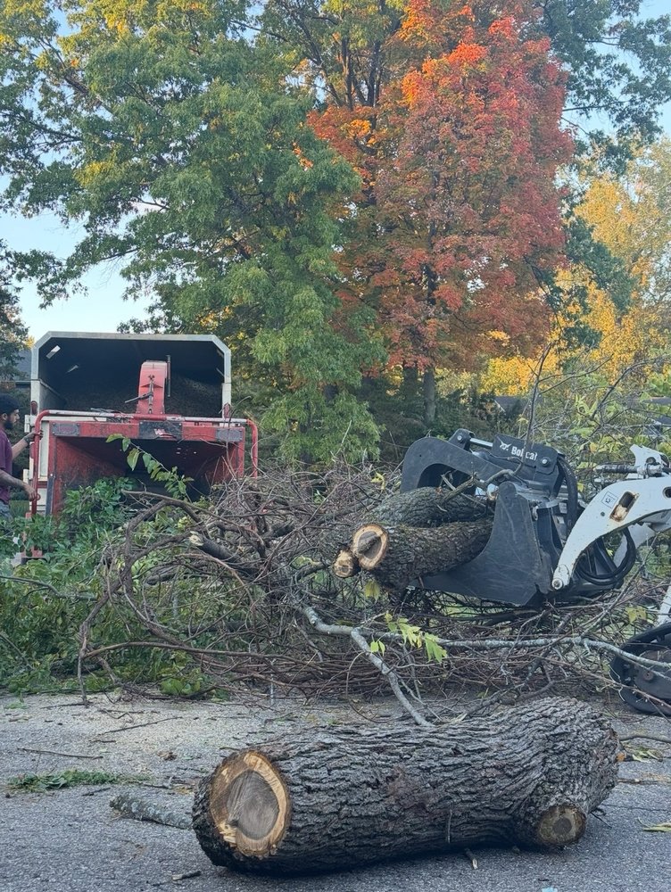 Global Tree Group - tree service in West Bloomfield Township, MI
