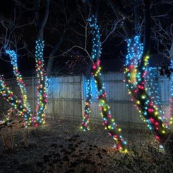 Denver Zoo Lights - Festivals Near Me - Denver, Colorado