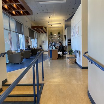 WellHaven Pet Health - Veterinarians Near Me - Denver, Colorado