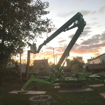 Bogan's Tree Service - Like an amusement park! How amazing is this thing!?? - Tree Services Near Me Bogan's Tree Service - Like an amusement park! How amazing is this thing!?? - Tree Services Near Me