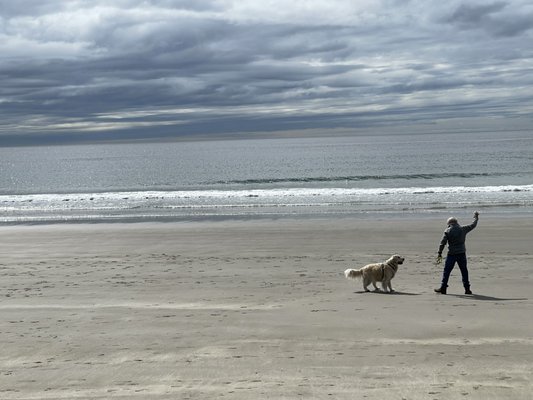 Good Harbor Beach by null