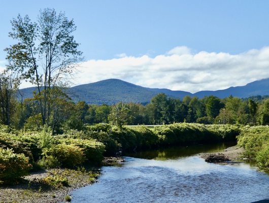 GREY FOX INN & RESORT - Updated November 2024 - 59 Photos & 50 Reviews