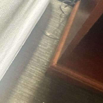 Wilmington Inn - Carpets that the desk attendant insisted were vacuumed, even after he looked at them. - Banks & Credit Unions Near Me - Wilmington, Ohio Wilmington Inn - Carpets that the desk attendant insisted were vacuumed, even after he looked at them. - Banks & Credit Unions Near Me - Wilmington, Ohio