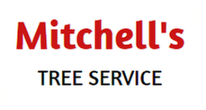 Mitchell's Tree Service - tree service in Jacksonville, FL