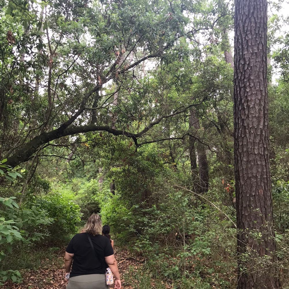Dwight D. Eisenhower Park - Parks Near Me - Houston, Texas