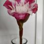Photo of 96744 Tropic Flowers