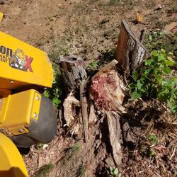 Just Grindin - A partially ground stump and my stump grinder.