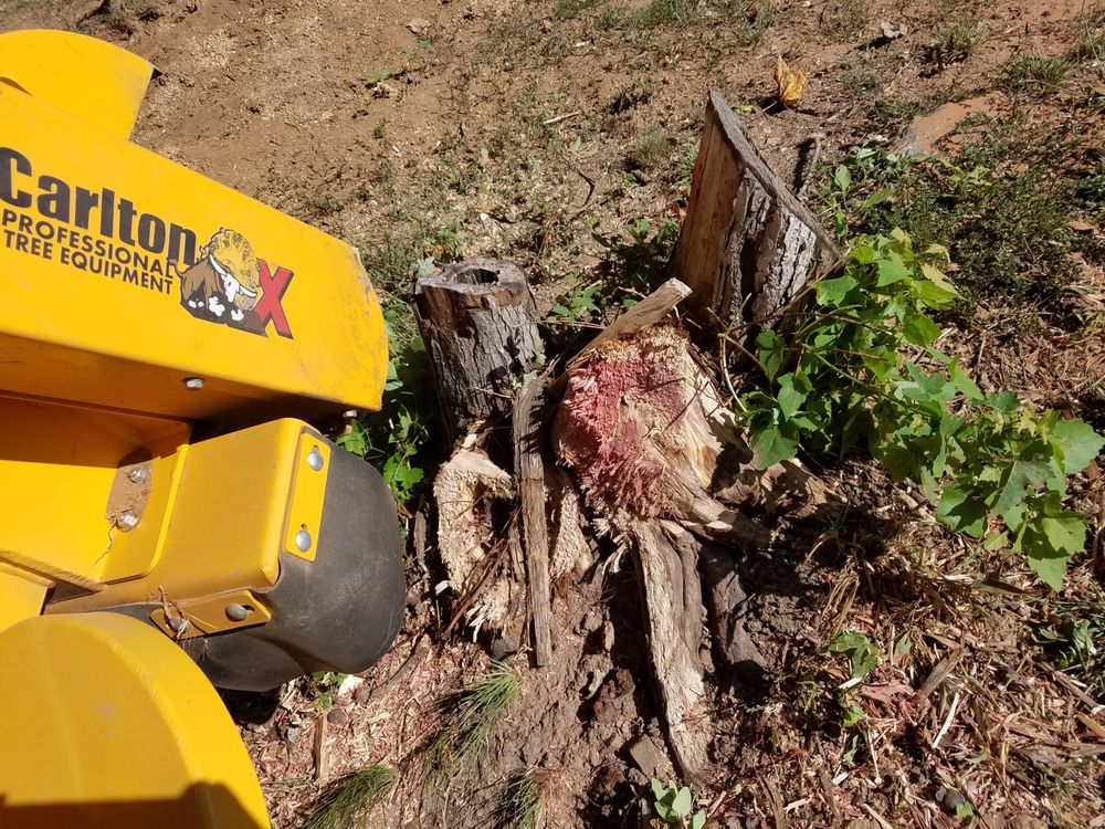 Just Grindin - tree service in Columbia, SC