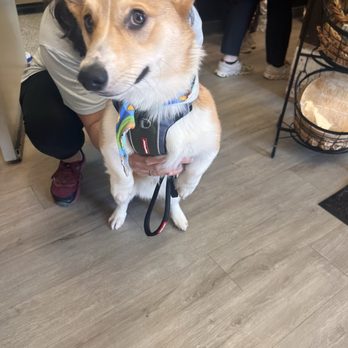 Just For Paws - Pet Groomers Near Me - Campton Hills, Illinois
