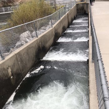 Nimbus Fish Hatchery - Aquariums Near Me - Gold River, California