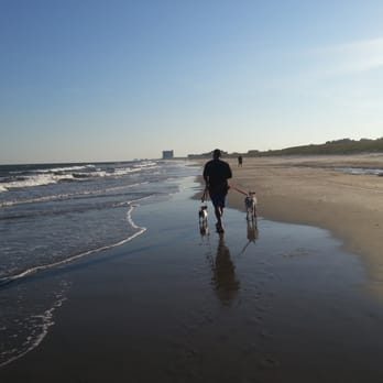 Myrtle Beach State Park - Bring your dogs before 10am or after 5pm-on leash only - Parks Near Me - Myrtle Beach, South Carolina Myrtle Beach State Park - Bring your dogs before 10am or after 5pm-on leash only - Parks Near Me - Myrtle Beach, South Carolina