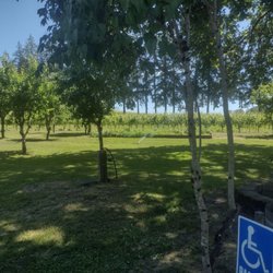 Remy Wines - Property
