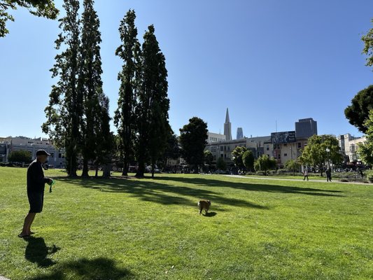 Washington Square by null