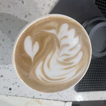 Patria Coffee Roasters - Ibarra Mex Mocha - Coffee Roasteries Near Me - Compton, California Patria Coffee Roasters - Ibarra Mex Mocha - Coffee Roasteries Near Me - Compton, California