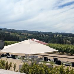 Ponzi Vineyards