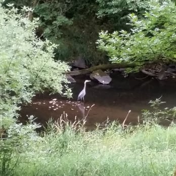 Lacamas Creek Trail - At the trailhead - Hiking Near Me - Camas, Washington Lacamas Creek Trail - At the trailhead - Hiking Near Me - Camas, Washington