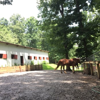 A Step Above Stables - Horseback Riding Near Me - Blairsville, Georgia