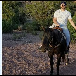 Zion's Blue Sage Ranch