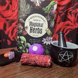 Plant Magic Market - A book about herbs, dragons blood smudge, mortar and pestal, Amethyst cluster crystal, Carnelian crystal, and a surprise ball!