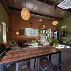 Wild Fern Brewing - Comfy.